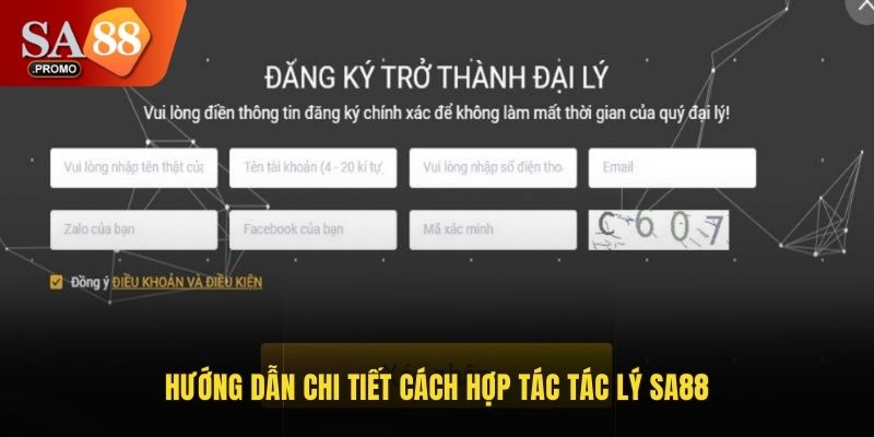 Hướng dẫn chi tiết cách hợp tác đại lý SA88